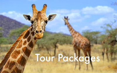 tour-packages.jpg
