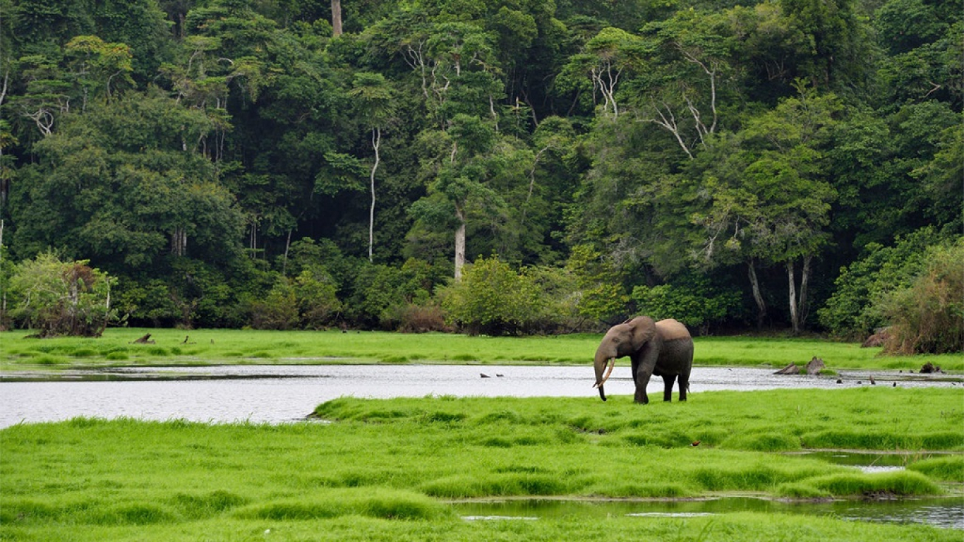 5 Days Gabon