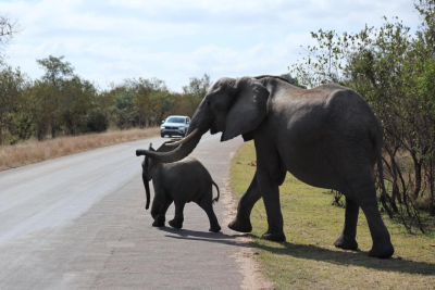 10 DAYS JOHANNESBURG-KRUGER-CAPE TOWN, SOUTH AFRICA