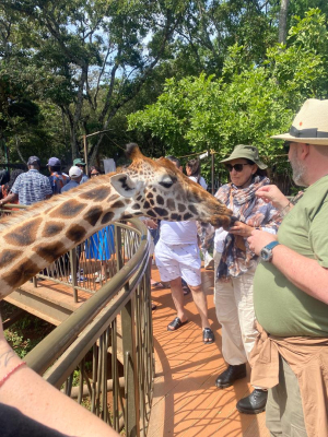 10 Days Safari and Mombasa, Kenya